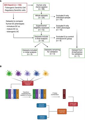 Transcriptomic Analysis Identifies A Tolerogenic Dendritic Cell Signature